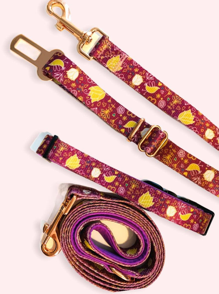 Collars, Leads, and Bandanas