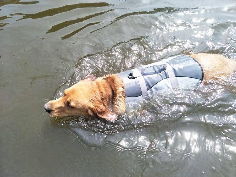 The Splashguard Pet Life Vest-1