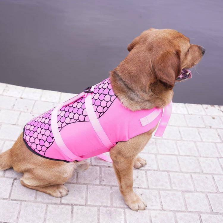 The Splashguard Pet Life Vest-5