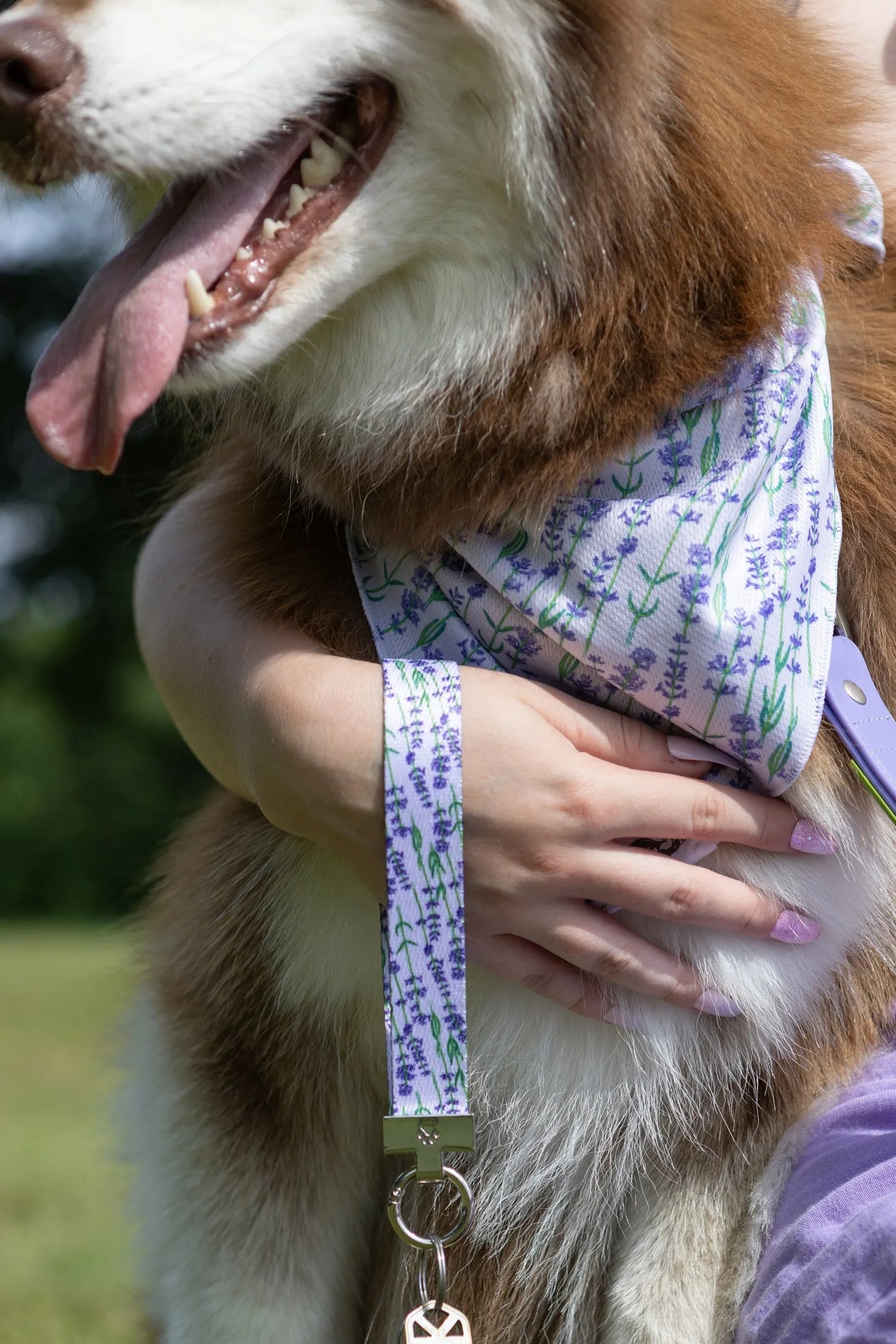Lavender Blooms Dog Bandana & Matching Keychain-1