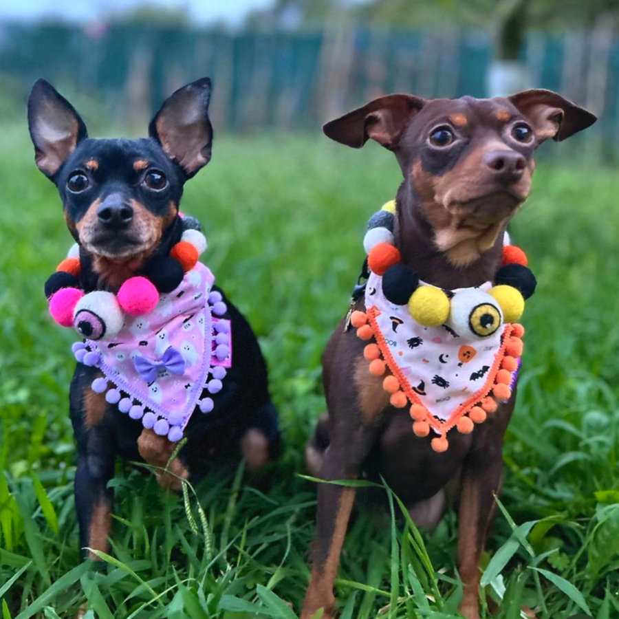 Halloween Pom Pom Dog Collar - Yellow Eye Ball-1