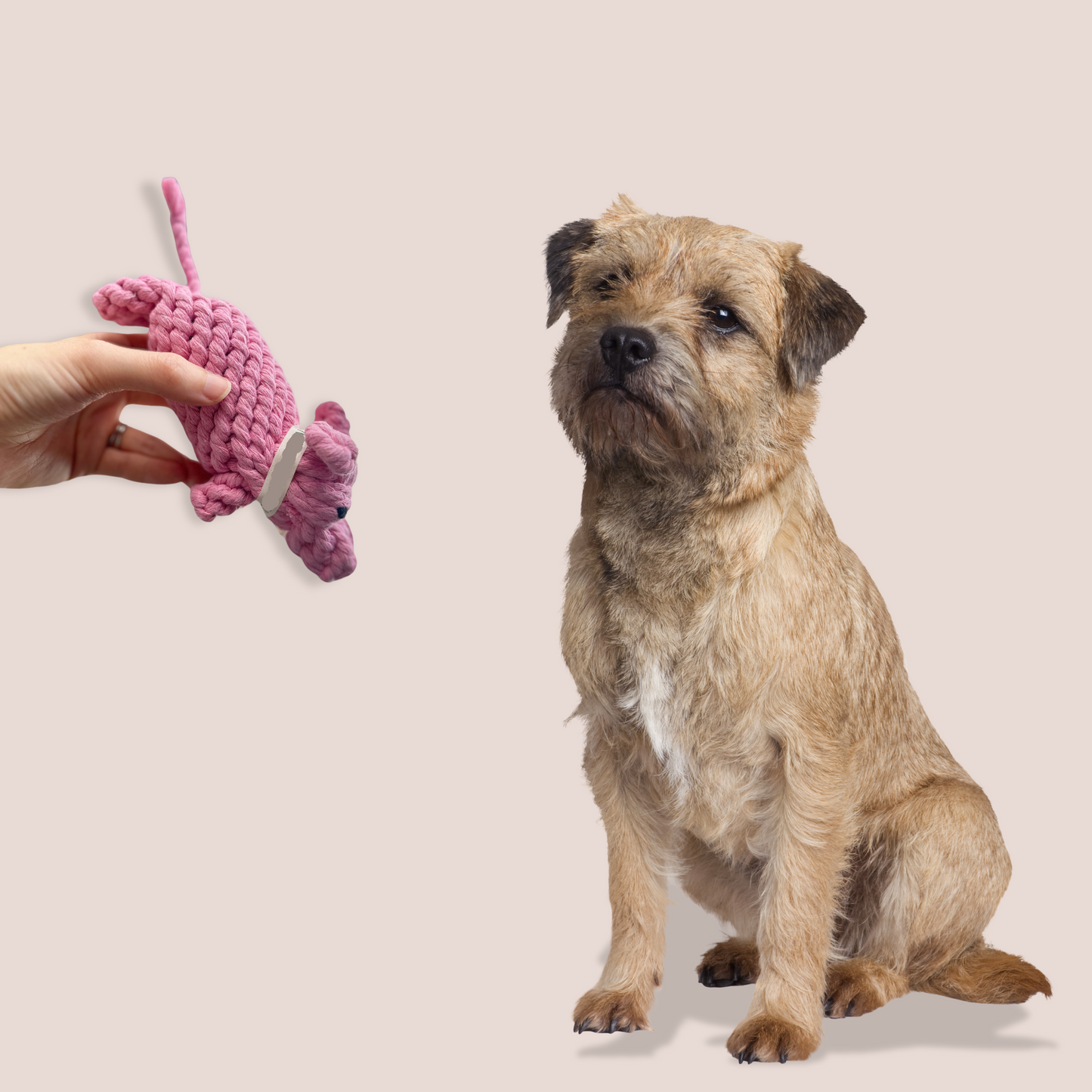 Piggy Pink Rope Dog Toy-2