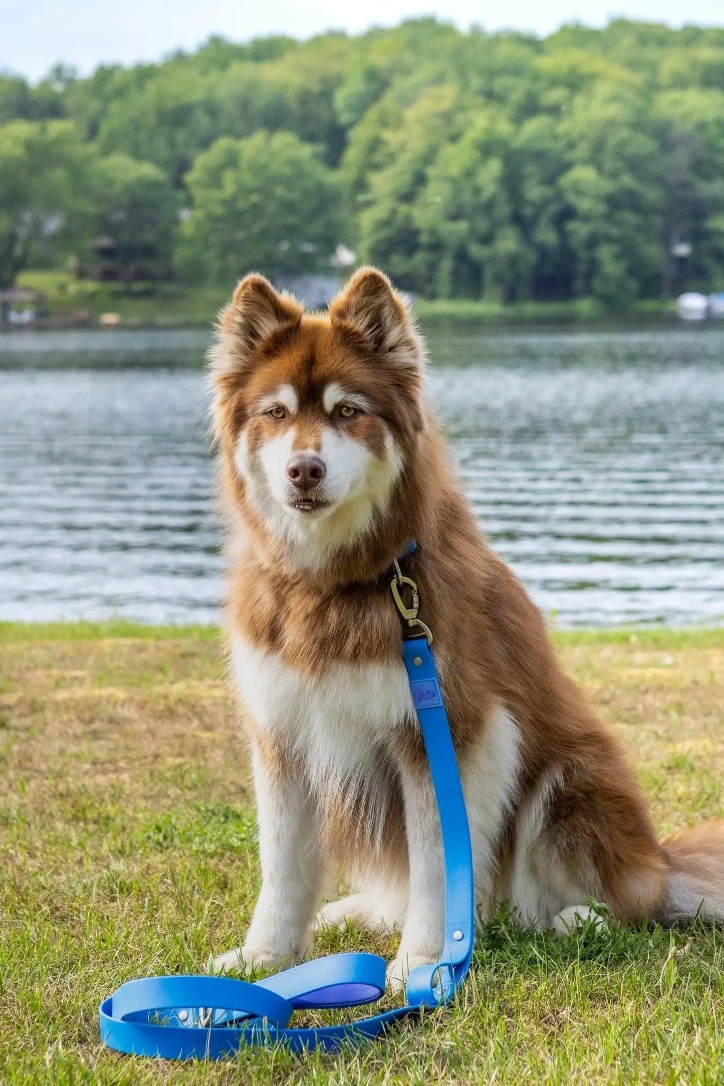 Dockside Adventures Waterproof Dog Leash-1