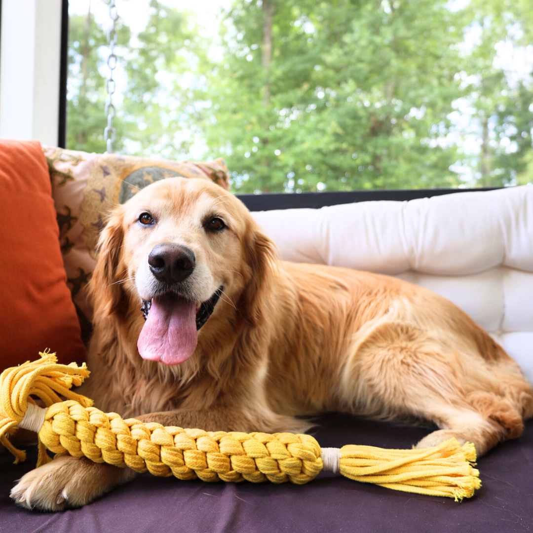 Jumbo Yellow Candy Rope Toy-2