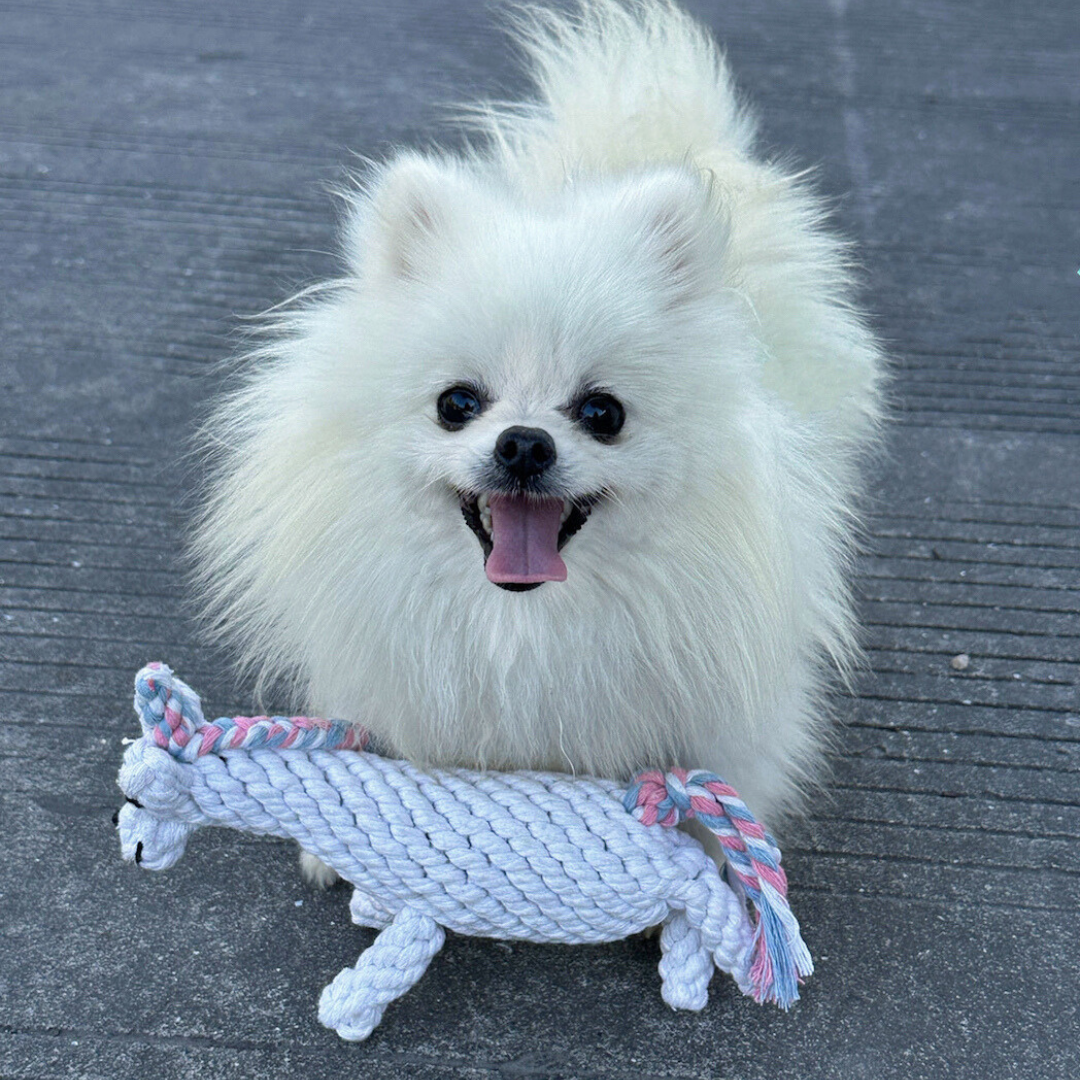 Luna the Unicorn Handmade Rope Toy-2