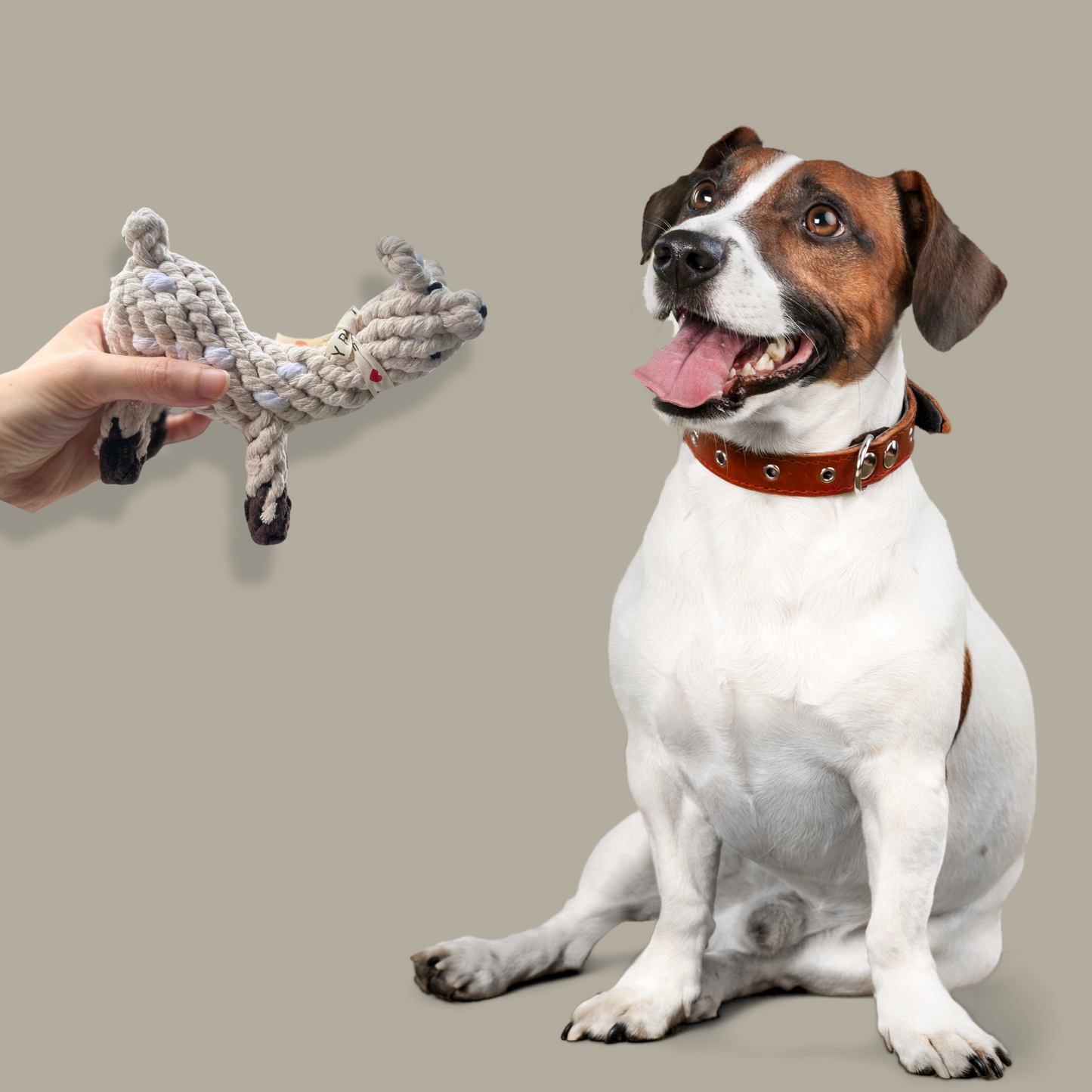 Happy Llama Dog Toy-2