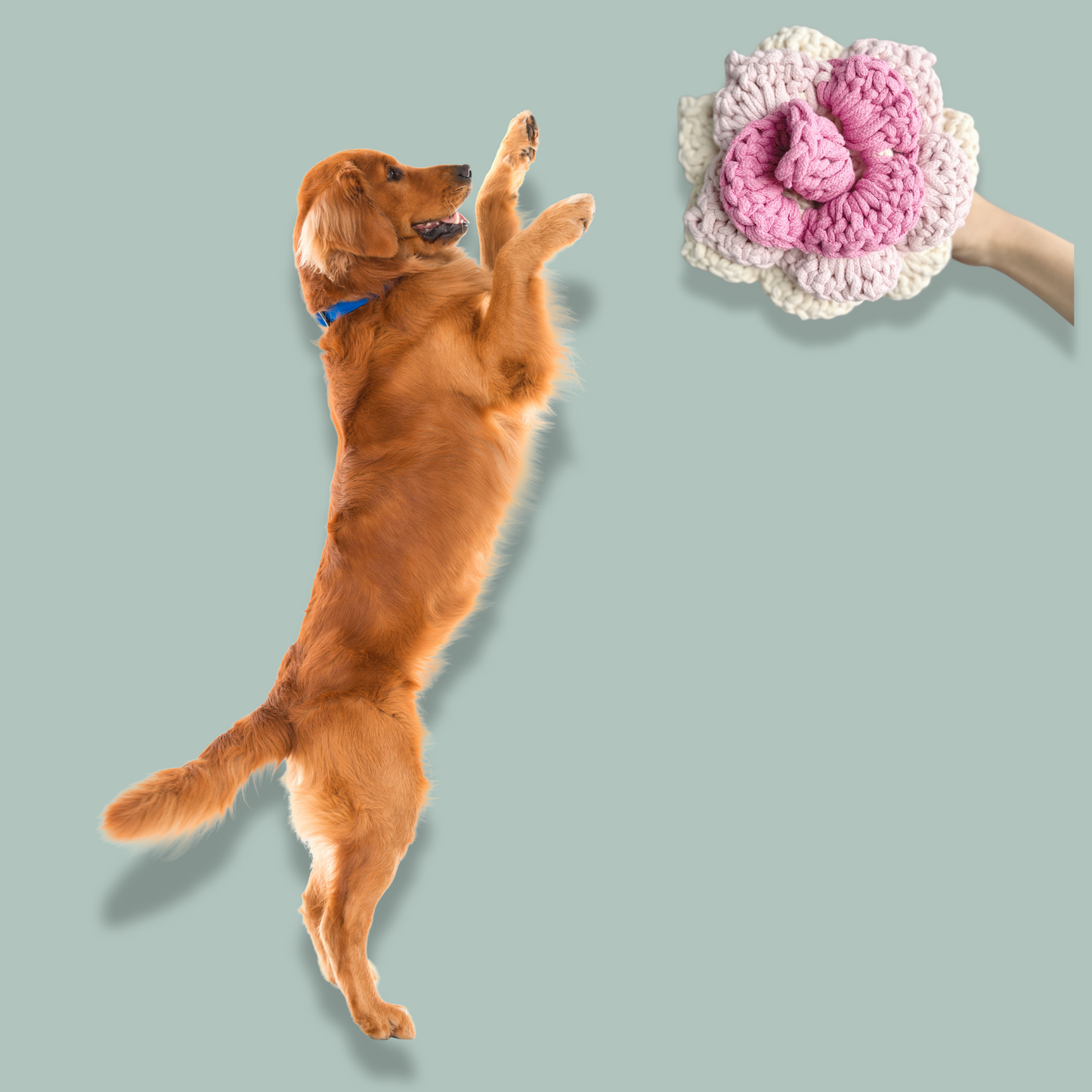 Prunus Blossom: Snuffle Flower Dog Toy-2