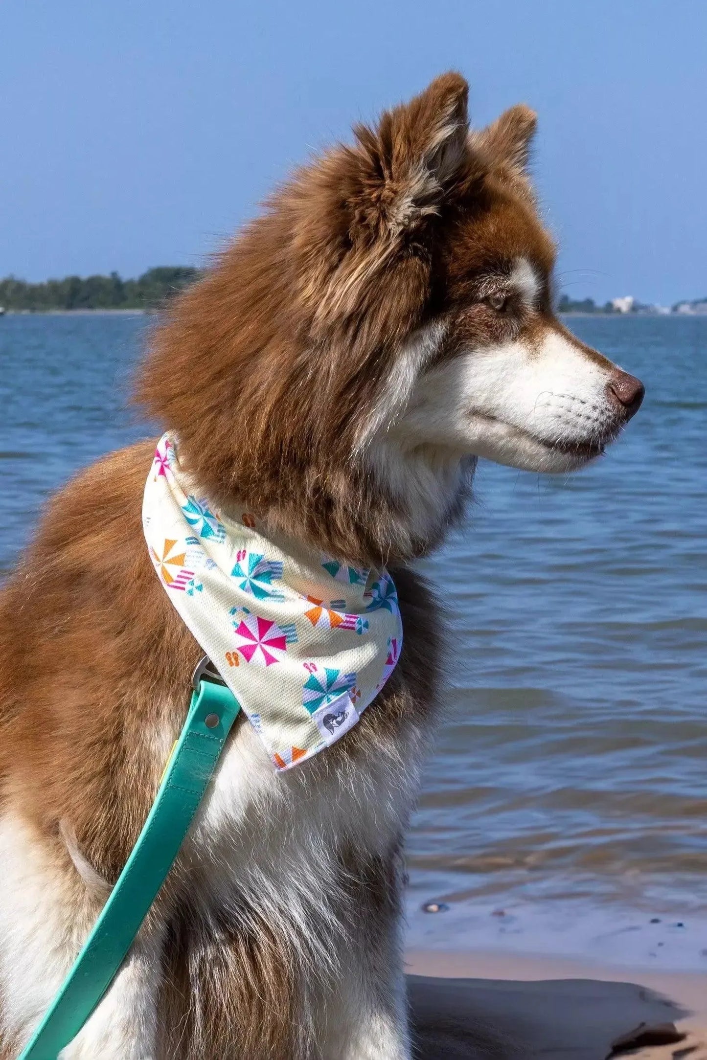 Sun & Shade Dog Bandana & Matching Keychain-2
