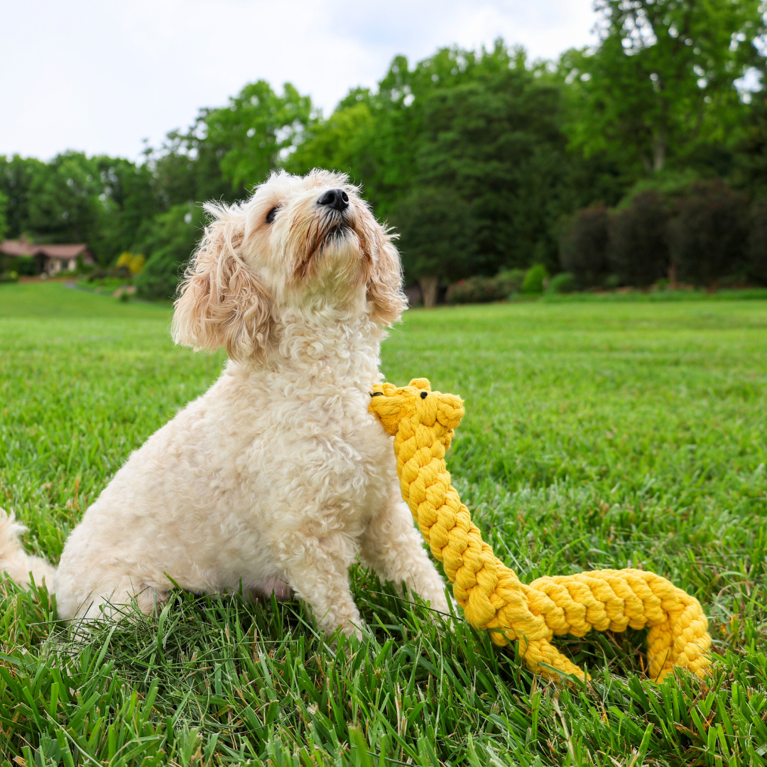 Joy the Giraffe Rope Toy-2