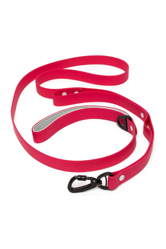 Red Mountain Syrah Waterproof Dog Leash-0