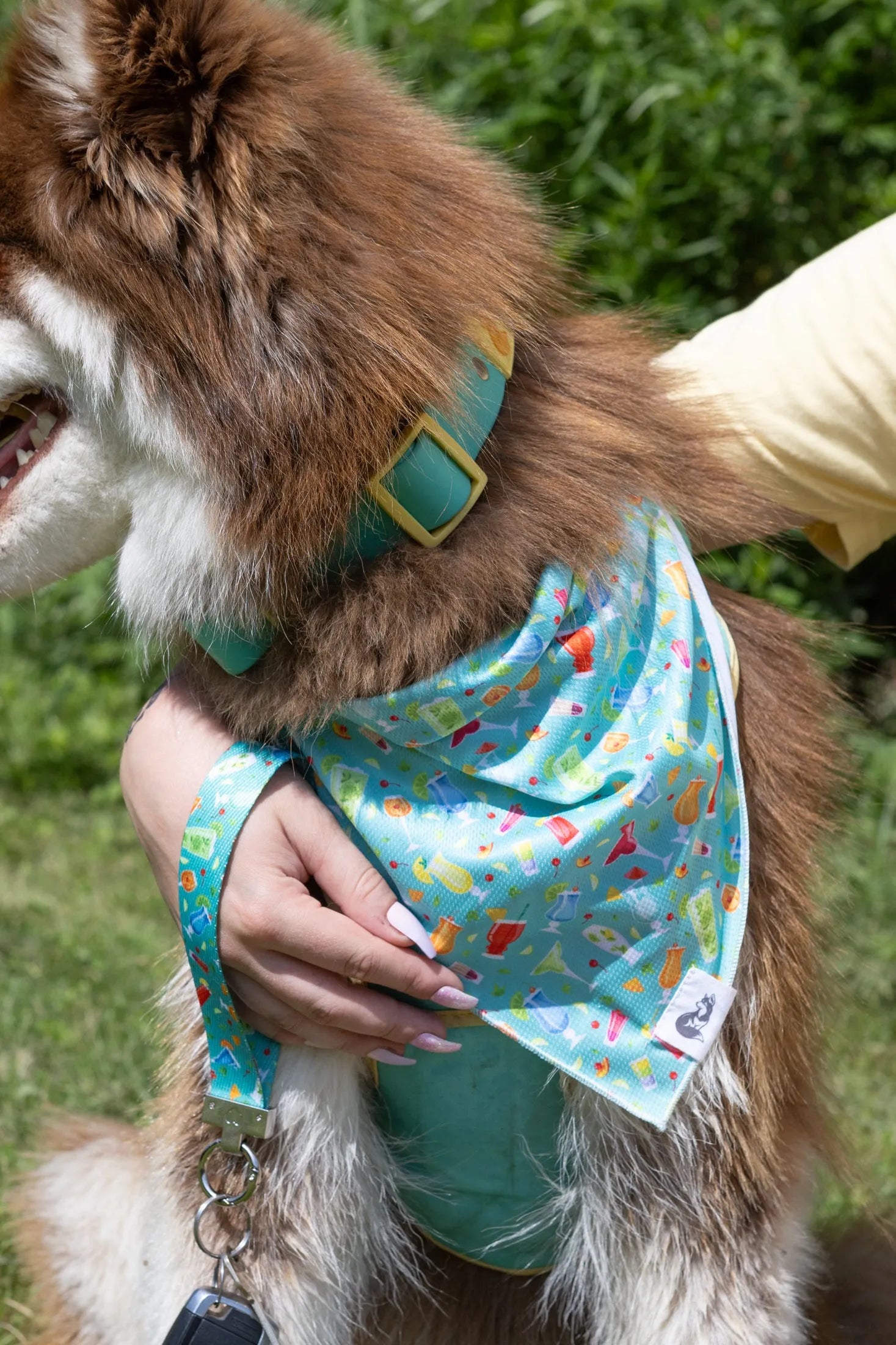 Seaside Sips Dog Bandana & Matching Keychain-1