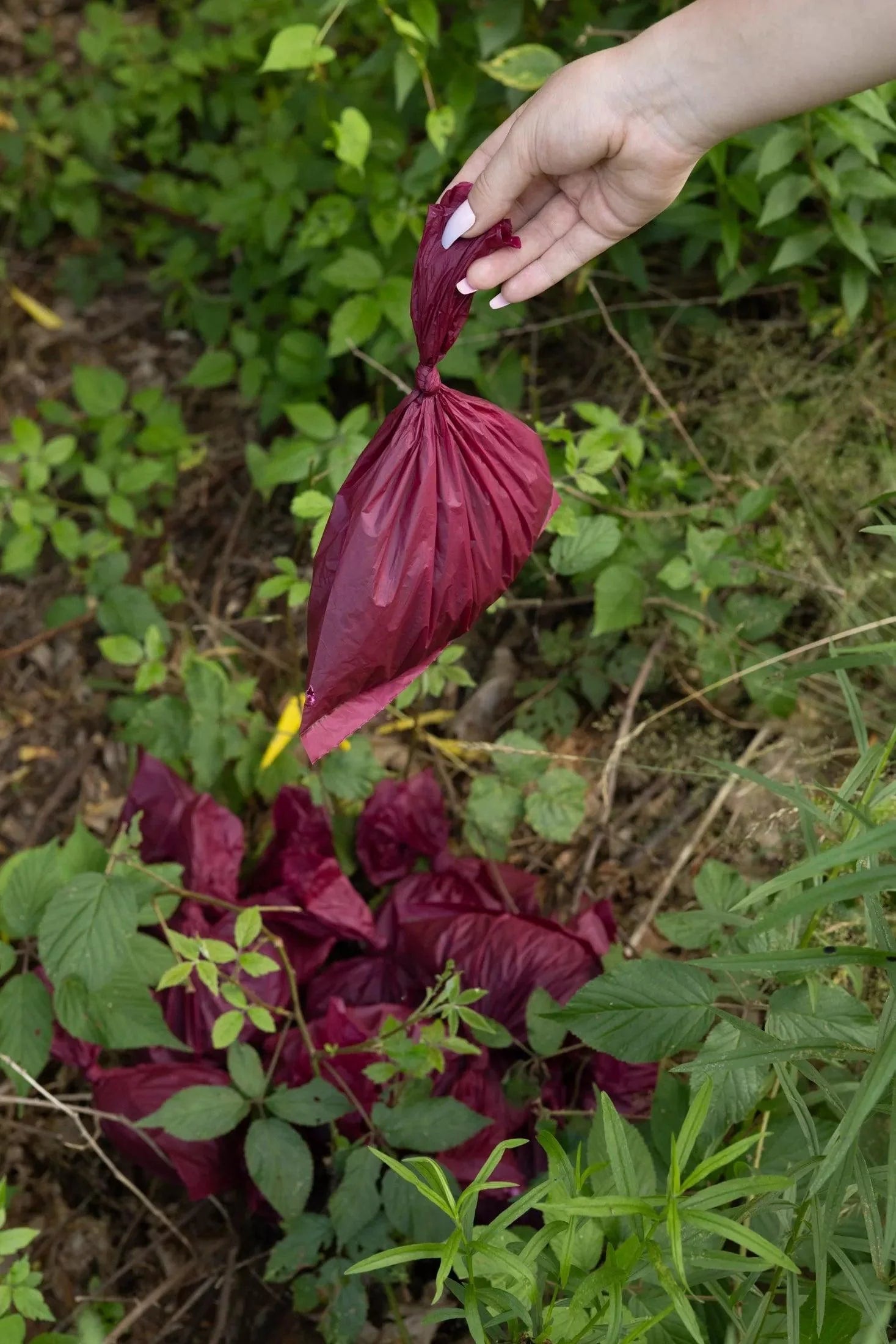Plant Based Compostable Waste Bags-3