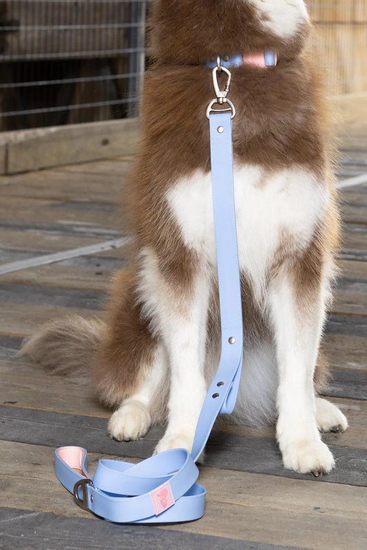 Blue Sky Orchid Waterproof Leash-1