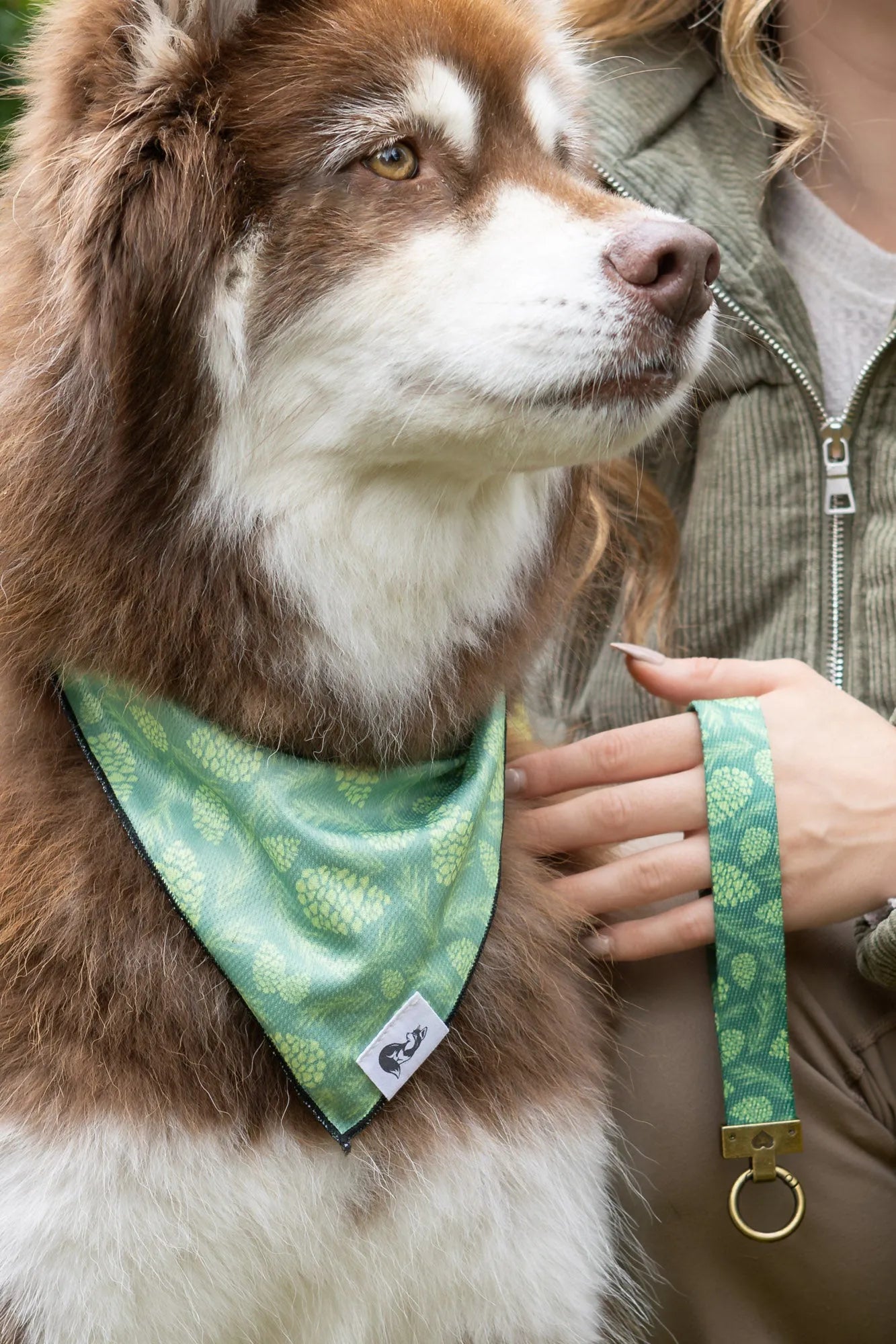 Pine Cone Pup Bandana & Matching Keychain-0