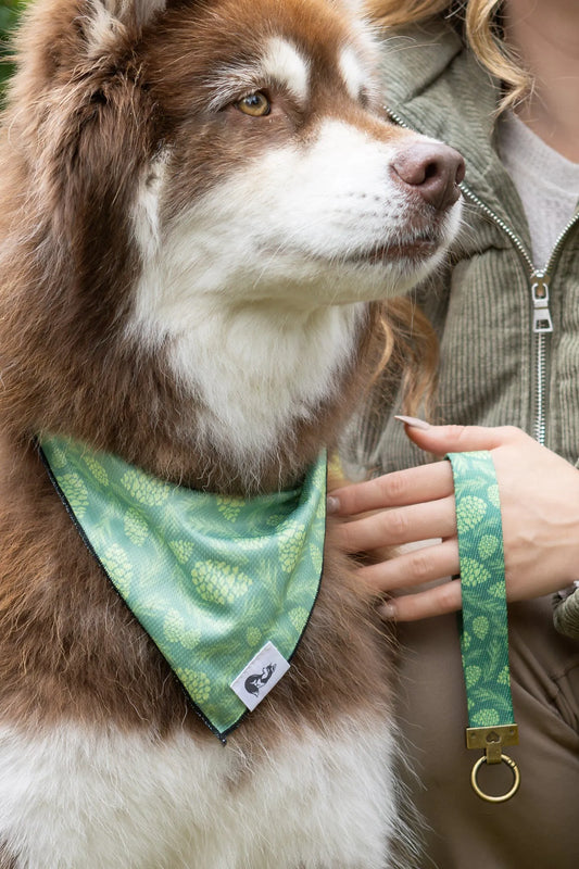 Pine Cone Pup Bandana & Matching Keychain-0
