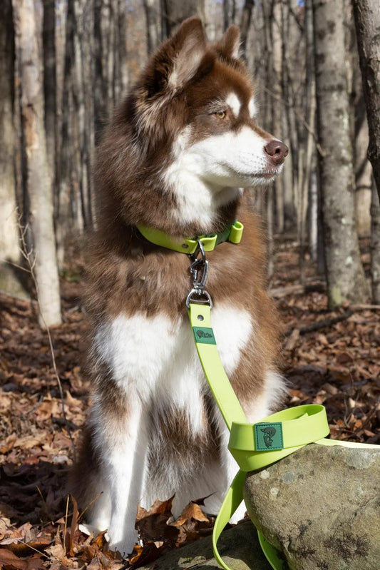Mossy Pine Waterproof Leash-0