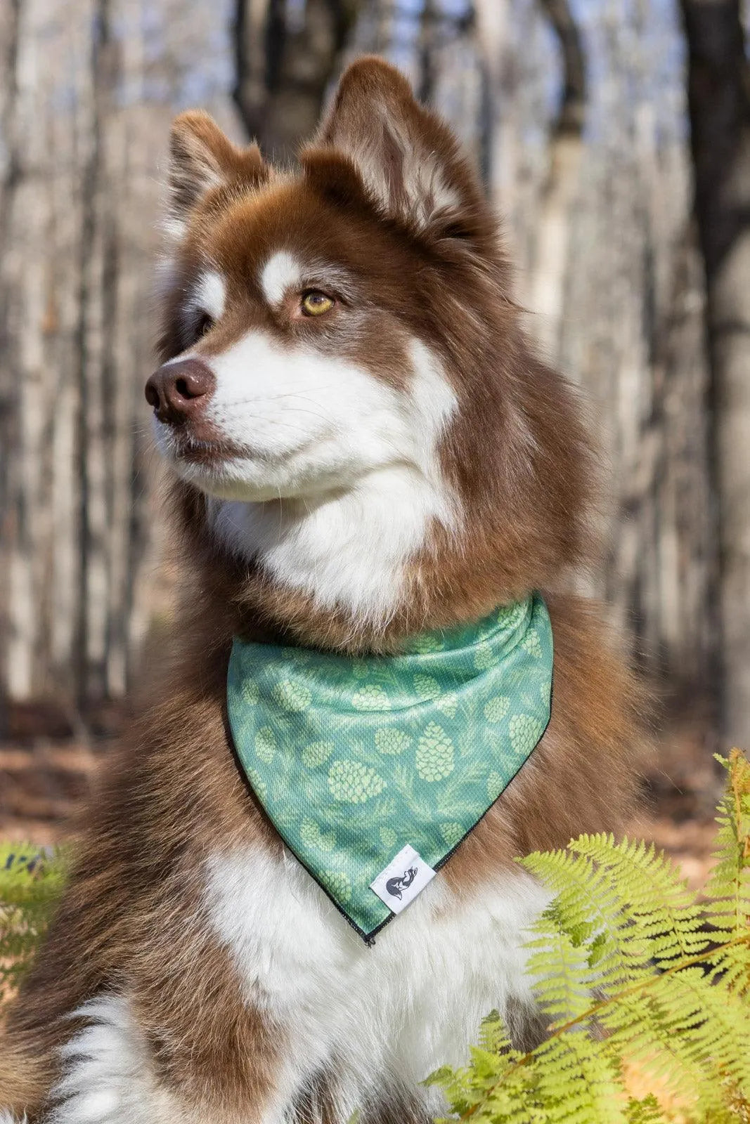 Pine Cone Pup Bandana & Matching Keychain-1