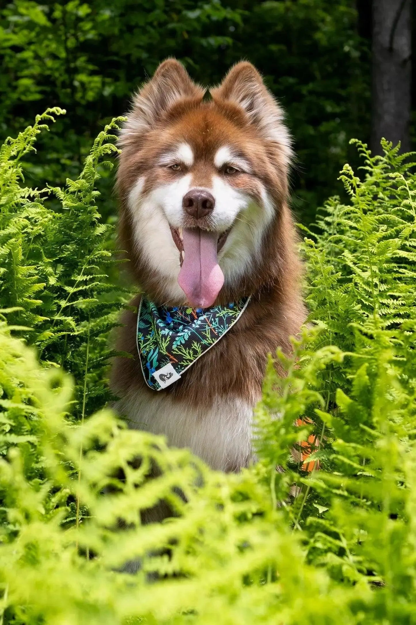 Magical Fern Forest Dog Bandana & Matching Keychain-2