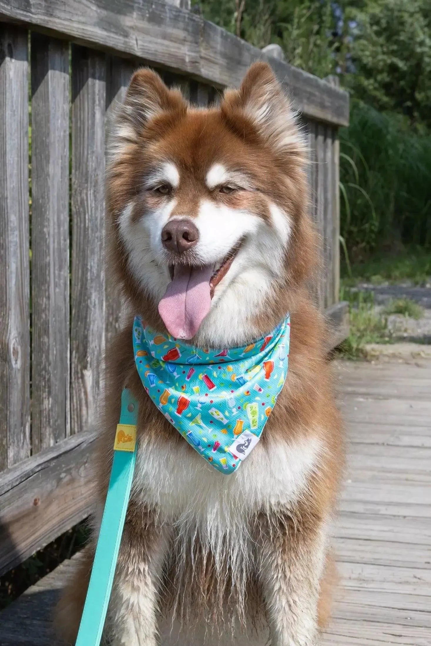 Seaside Sips Dog Bandana & Matching Keychain-2