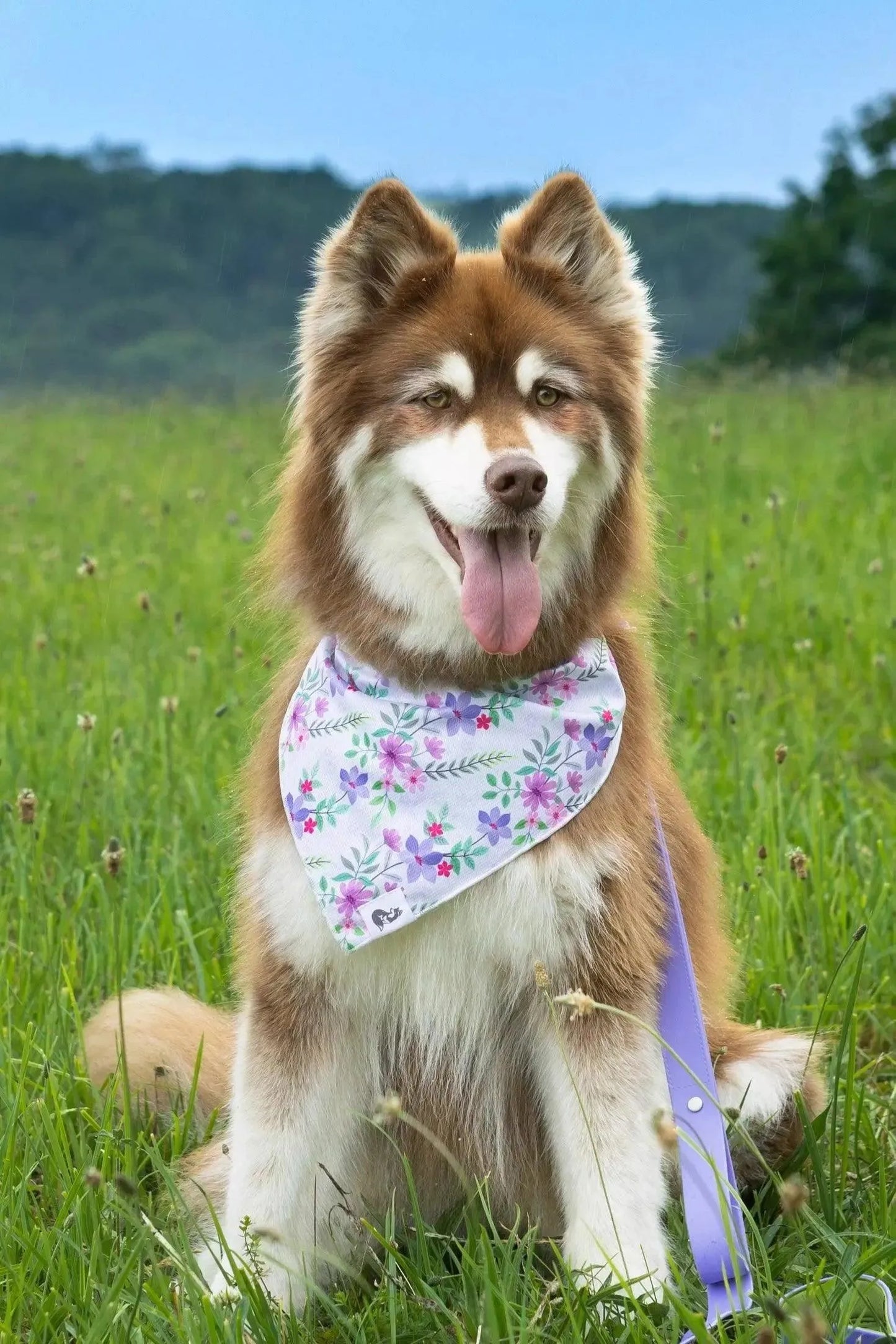 Wildflower Meadow Dog Bandana & Matching Keychain-2