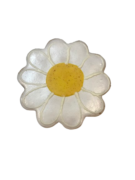 Daisy (Qty 12)-0